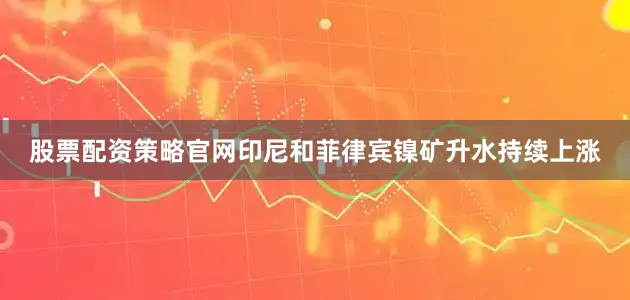 股票配资策略官网印尼和菲律宾镍矿升水持续上涨