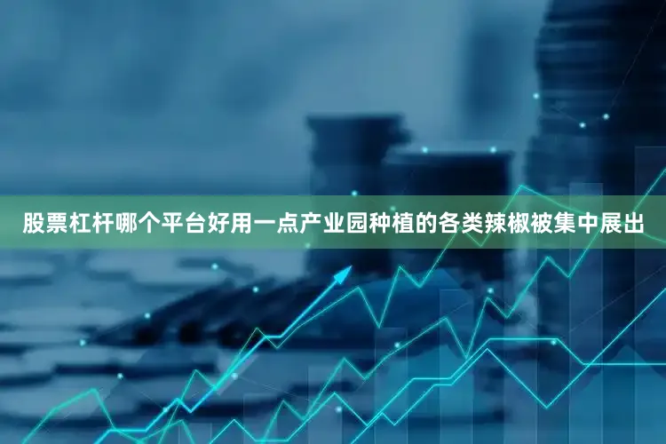 股票杠杆哪个平台好用一点产业园种植的各类辣椒被集中展出