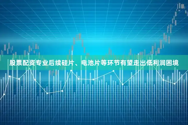股票配资专业后续硅片、电池片等环节有望走出低利润困境