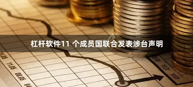 杠杆软件11 个成员国联合发表涉台声明