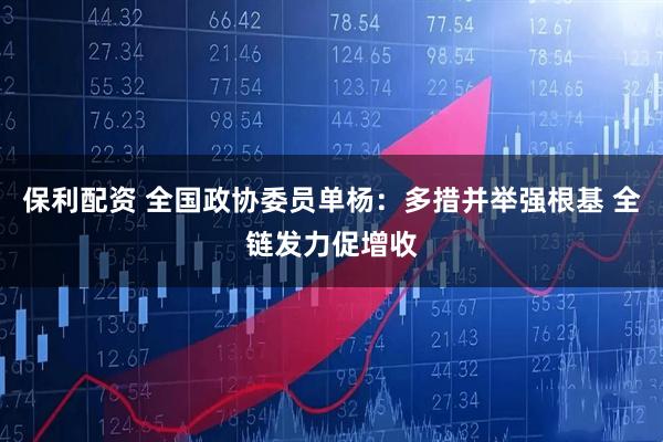 保利配资 全国政协委员单杨：多措并举强根基 全链发力促增收