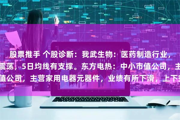 股票推手 个股诊断：我武生物：医药制造行业，创新药概念，底部箱体震荡，5日均线有支撑。东方电热：中小市值公司，主营家用电器元器件，业绩有所下滑，上下空间有限（杨勇）