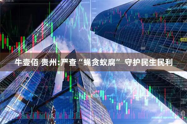 牛壹佰 贵州:严查“蝇贪蚁腐” 守护民生民利